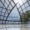 Ly Morri - Triumphant Tribulation - Single